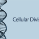 Illustration for article titled Biological Cells Can Now Do Arithmetic